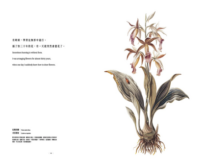 Orchid Whisper