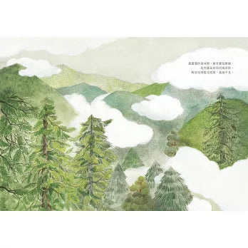 走出霧之森