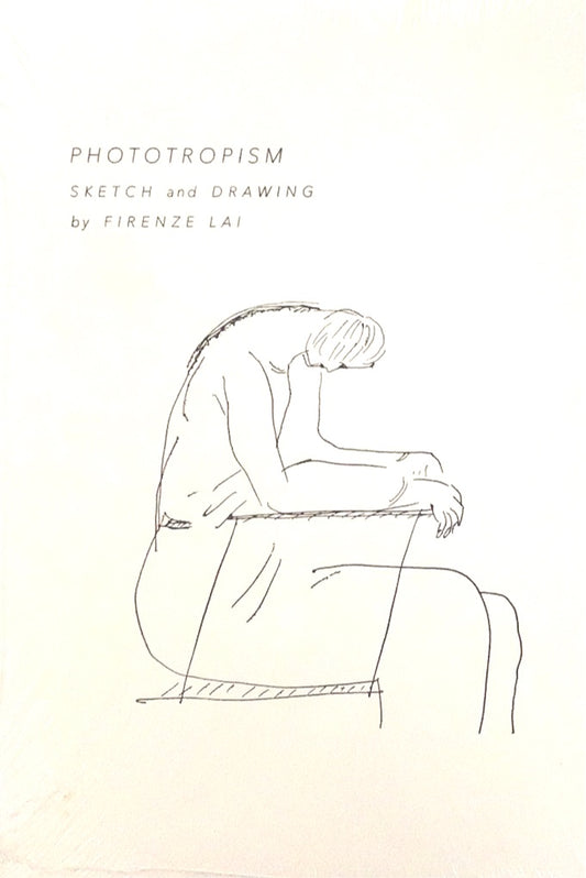 Phototropism: Sketch and Drawing by Firenze Lai