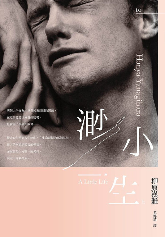 渺小一生（上、下冊）
